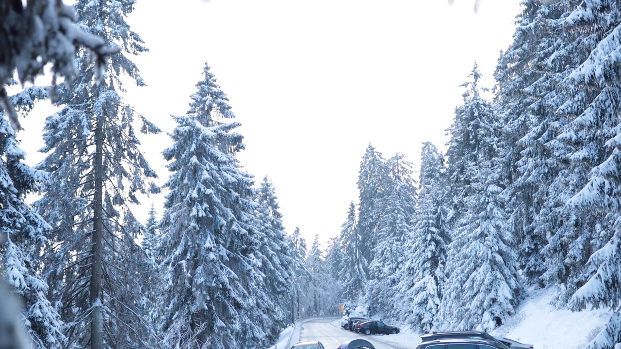 阳光明媚，白色背景，汽车停在德国冰雪覆盖的冬季森林里视频素材