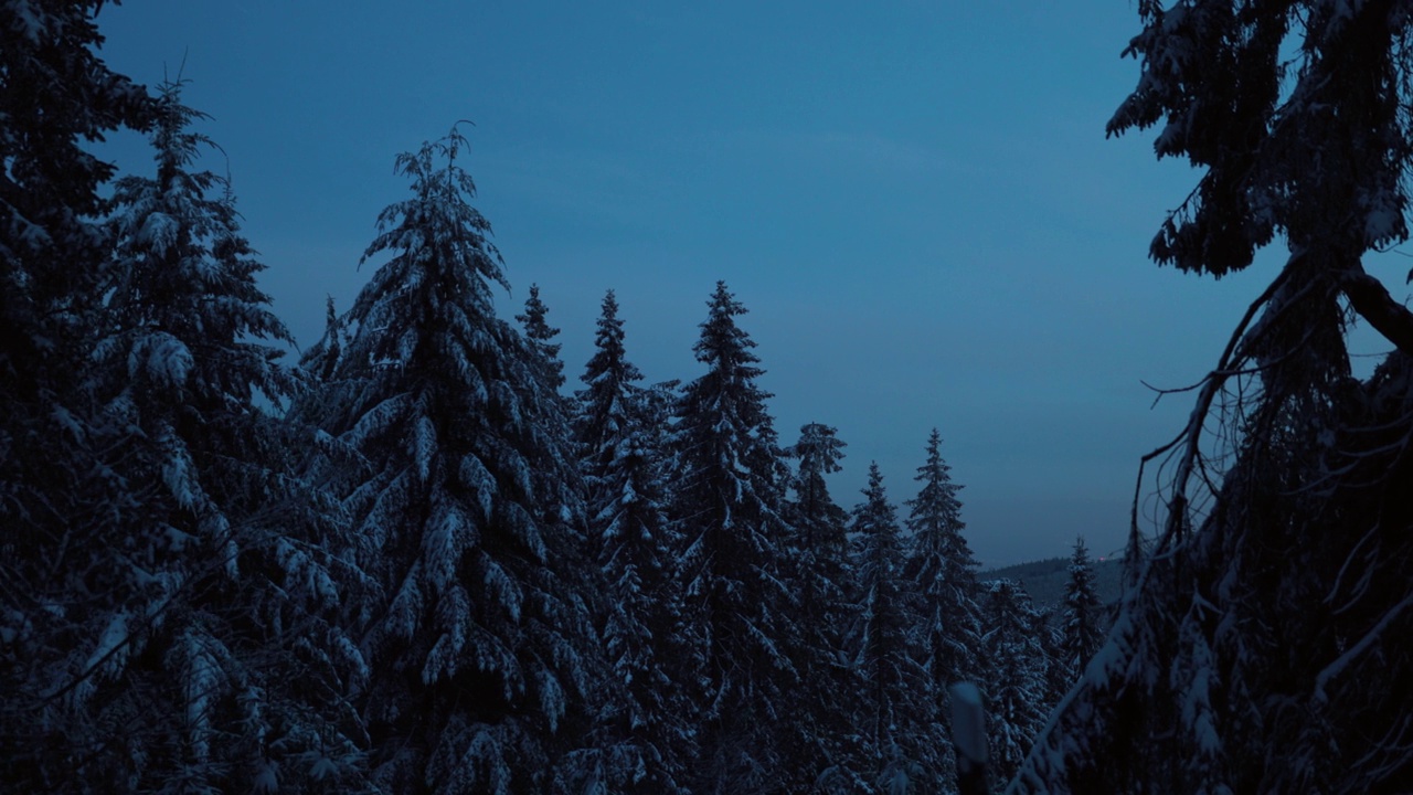 寒冷的夜晚后，在白雪覆盖的森林里，黑暗阴沉的冬天街道视频素材