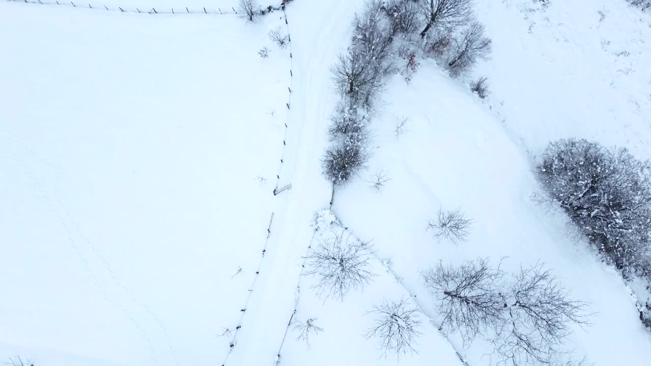 有树木和小径的雪地。山上的房子在冬天。鸟瞰图。视频素材