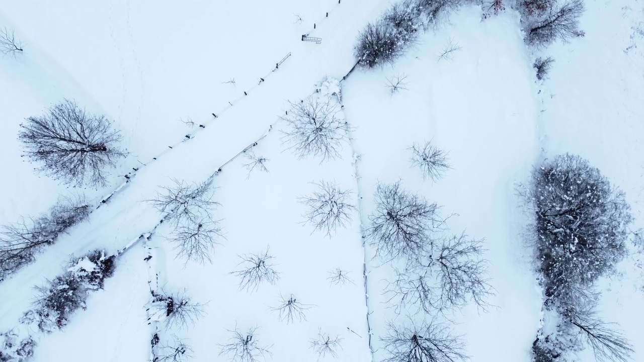 有树木和小径的雪地。山上的房子在冬天。鸟瞰图。视频素材