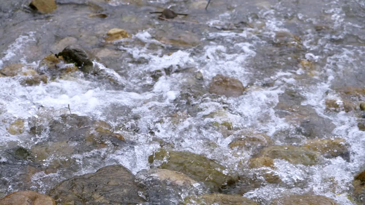 清澈的小溪，流过石头巨石丰富的河流，在缓慢的运动。山野河水在夏季溅起岸边的环境。视频素材