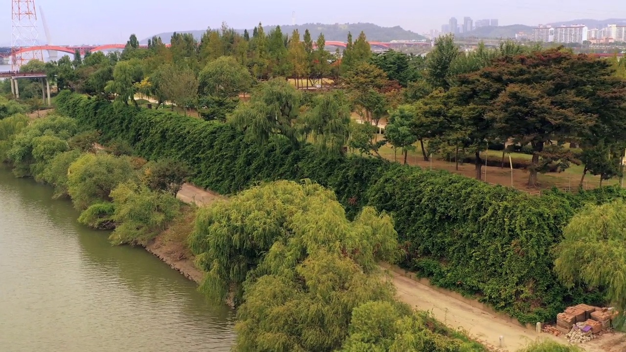 韩国首尔永登浦区汉江和善游岛公园的风景视频素材