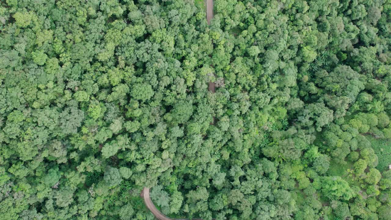 俯视乡村公路穿过绿色森林和山脉视频素材