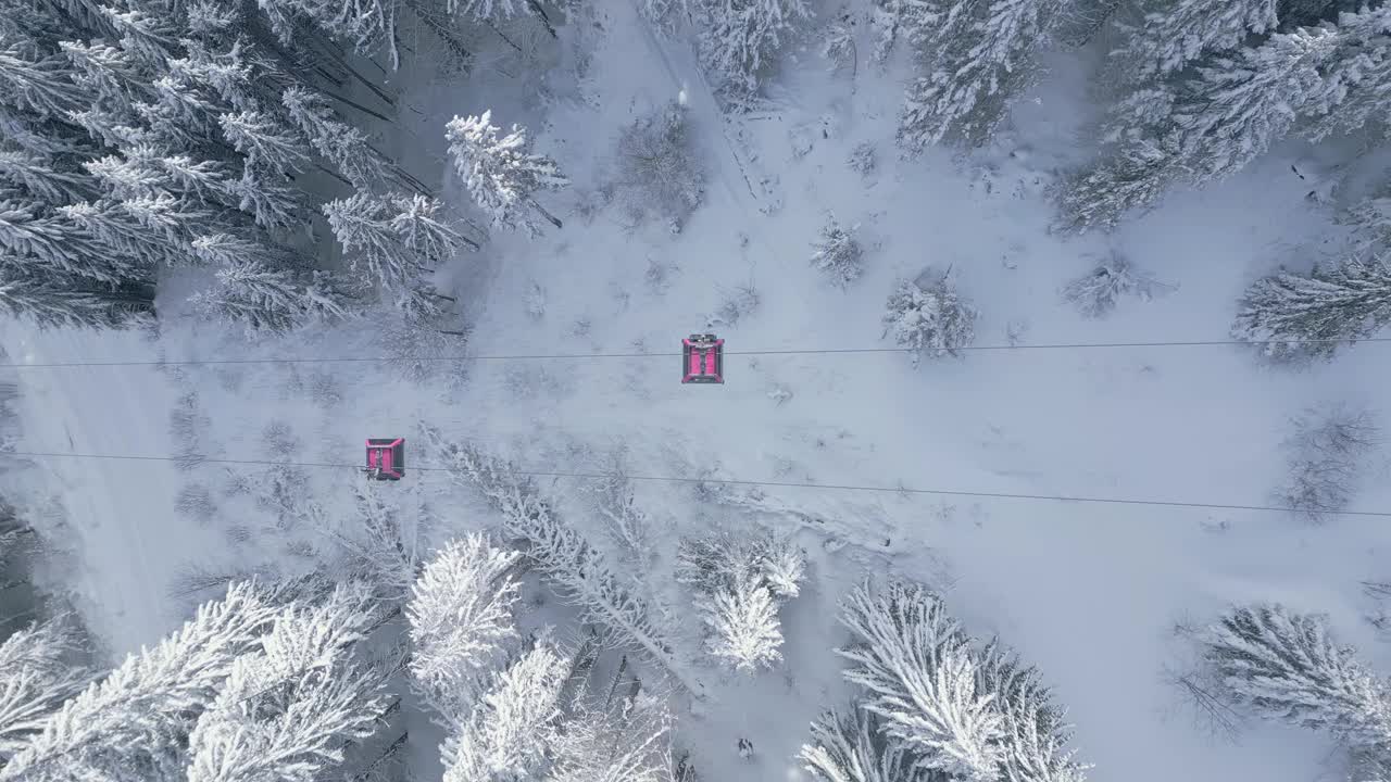 现代滑雪缆车缆车与冰雪覆盖的冷杉森林和山脉视频素材