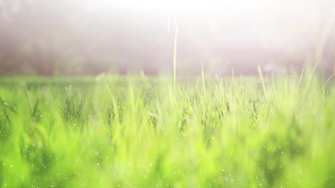 模糊的绿色草地与散景运动复制空间背景。视频素材