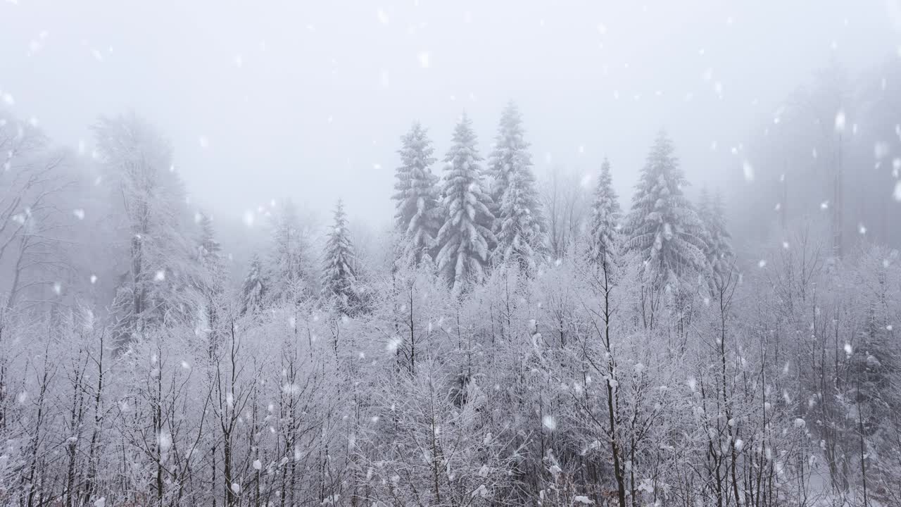 美丽的雪山雾林景观在下雪。视频素材