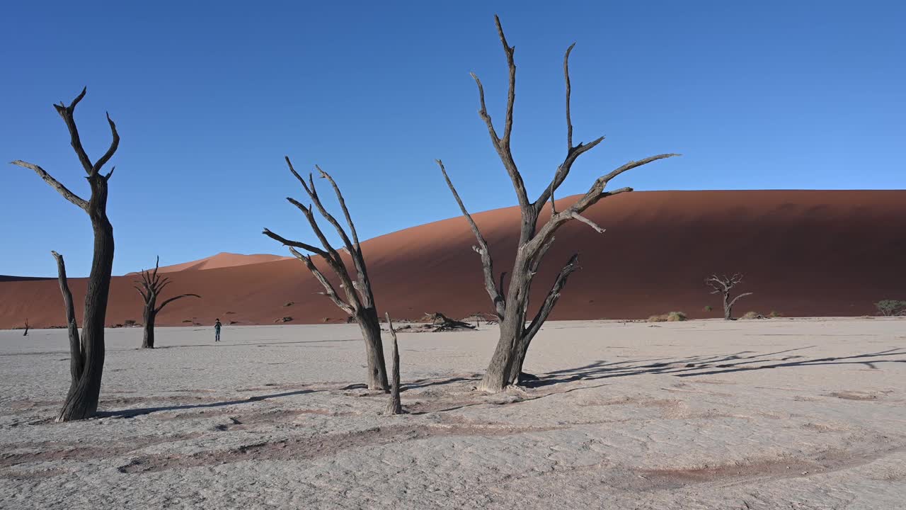 Namib-Naukluft国家公园视频素材