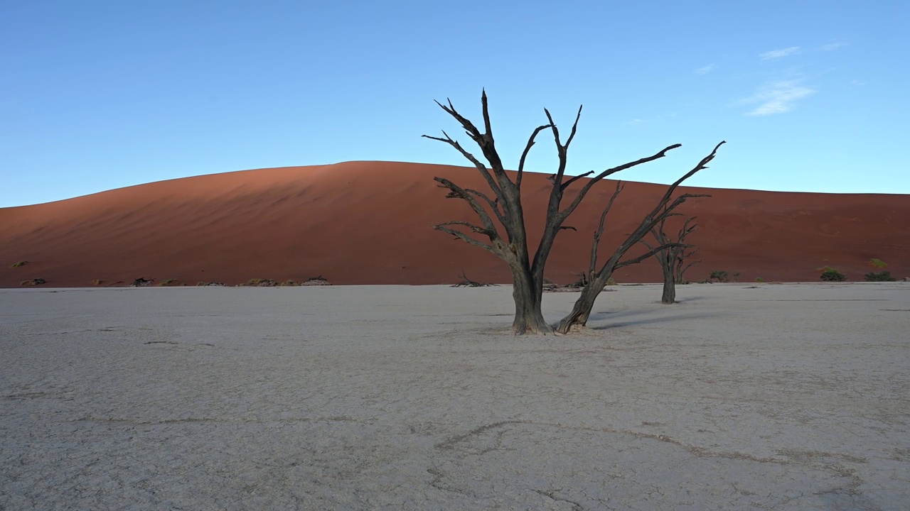 Namib-Naukluft国家公园视频素材