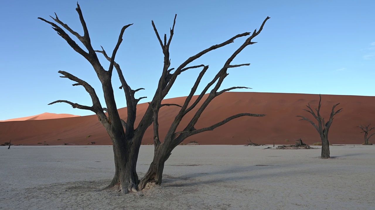 Namib-Naukluft国家公园视频素材