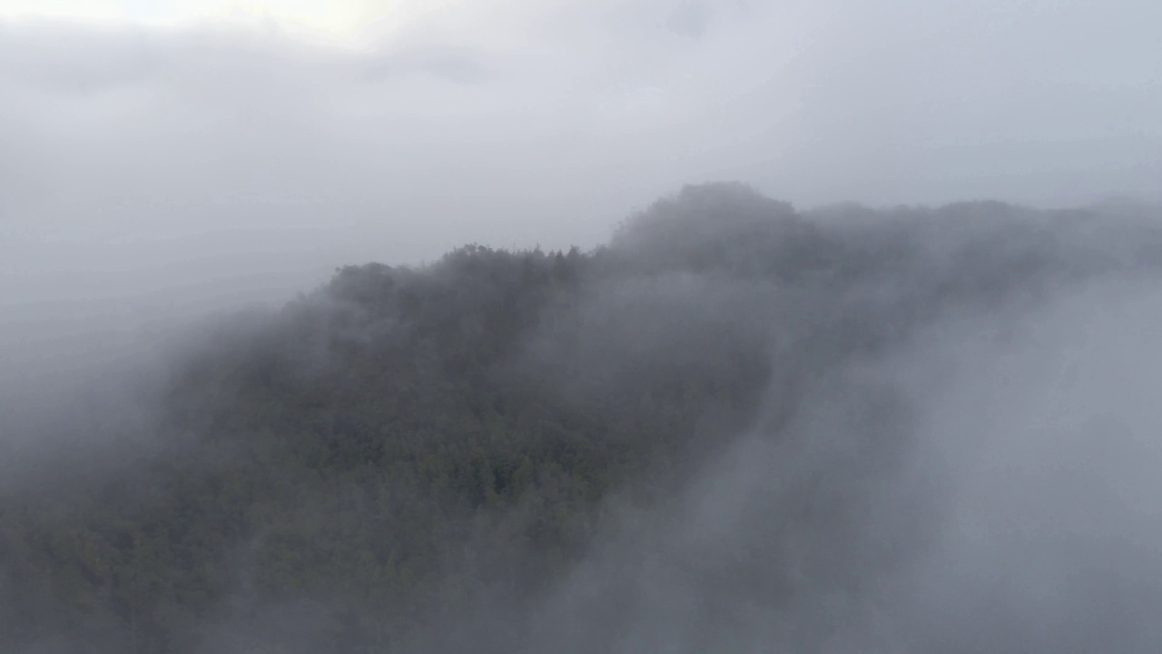 在大雾天气期间，无人机俯瞰森林山脉视频素材