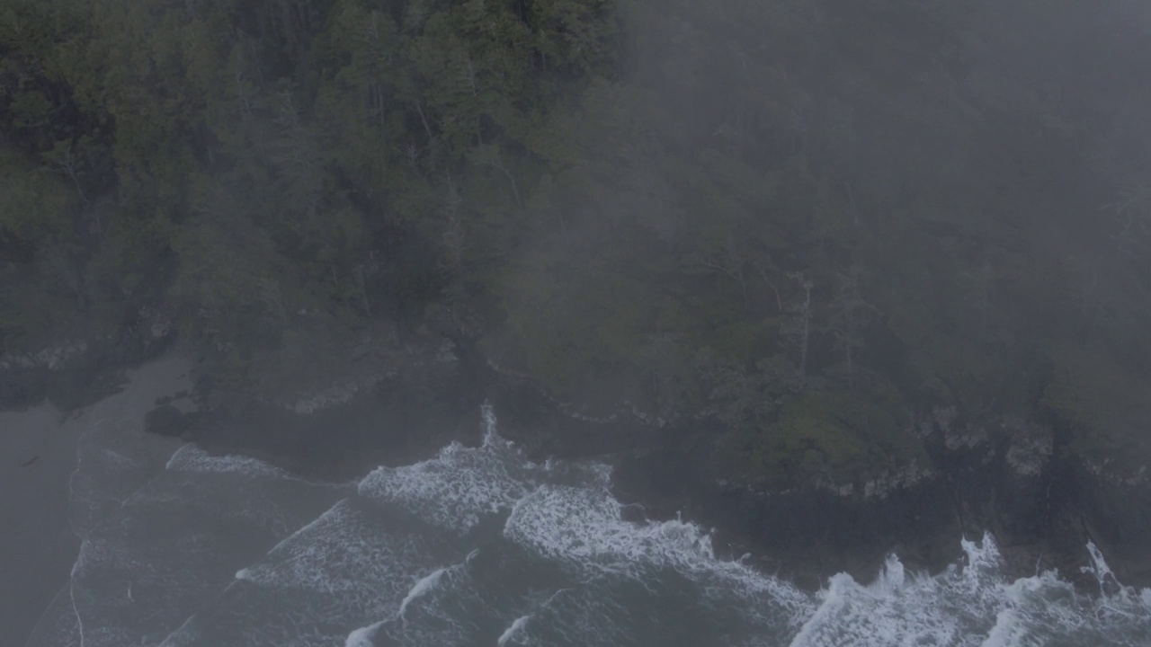 在大雾天气，无人机俯瞰覆盖在森林环绕的海岸线上的海浪视频素材