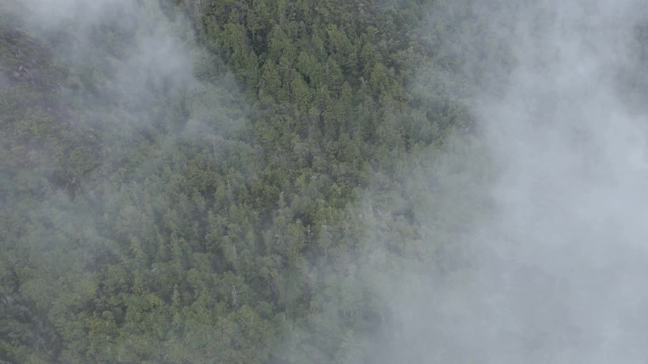 在大雾天气期间，无人机俯瞰森林山脉视频素材