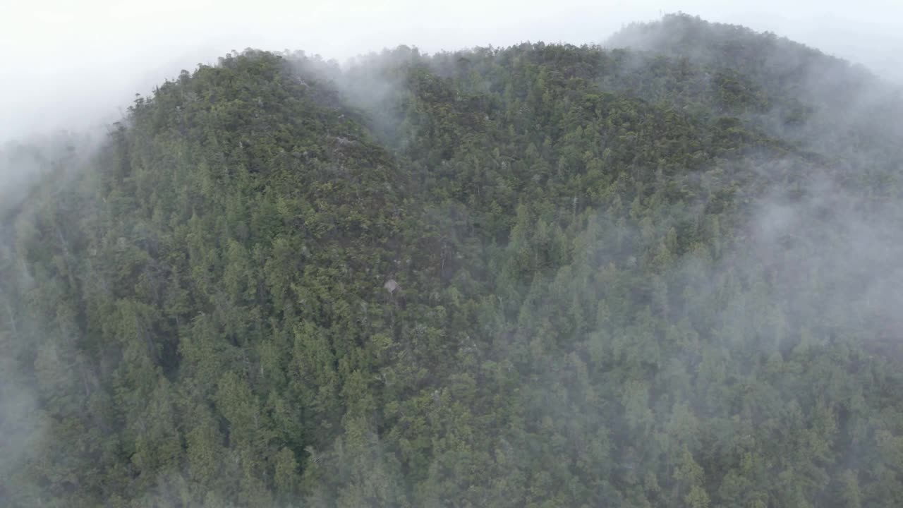 在大雾天气期间，无人机俯瞰森林山脉视频素材