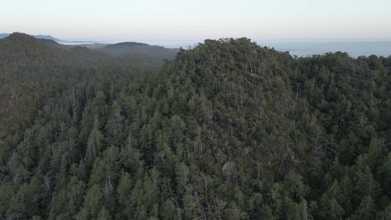 无人机俯瞰森林山脉的海岸线视频素材