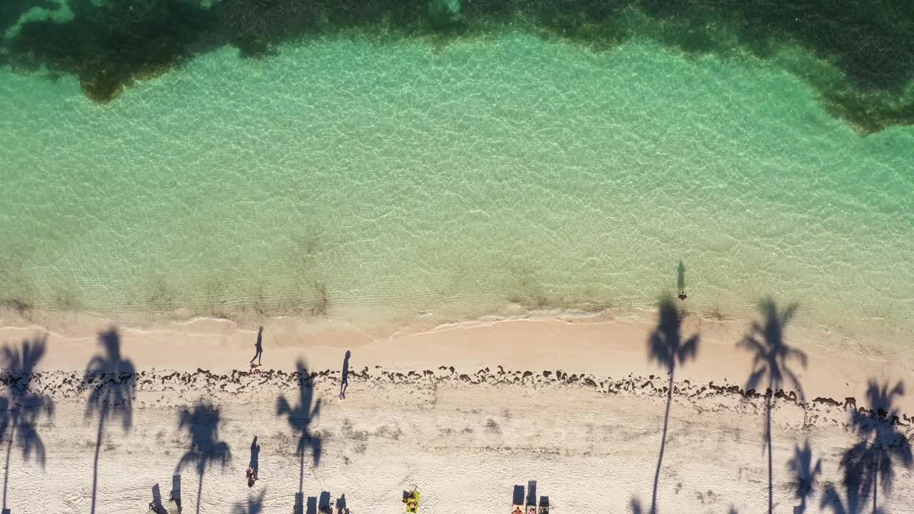 原始和慷慨的热带海岸线，椰子树和蓝绿色的加勒比海。美丽的旅游目的地。鸟瞰图视频素材