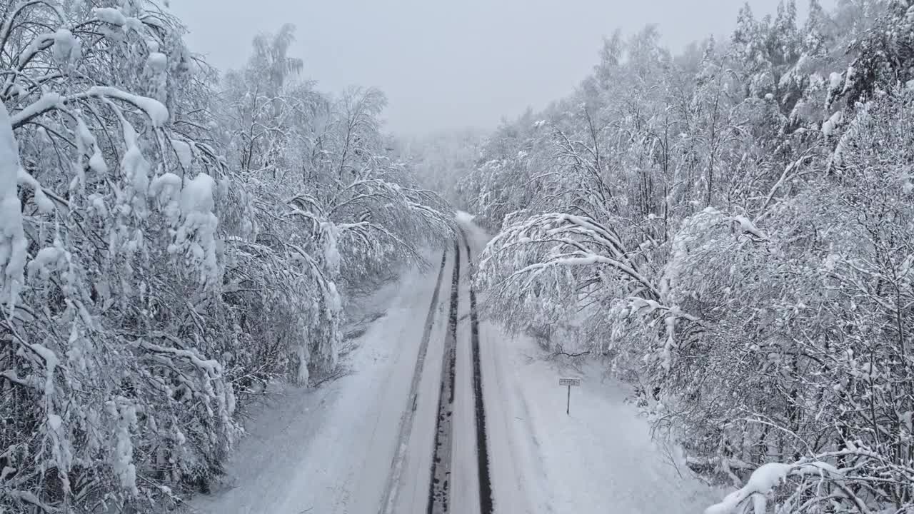 暴风雪后的森林道路。视频素材