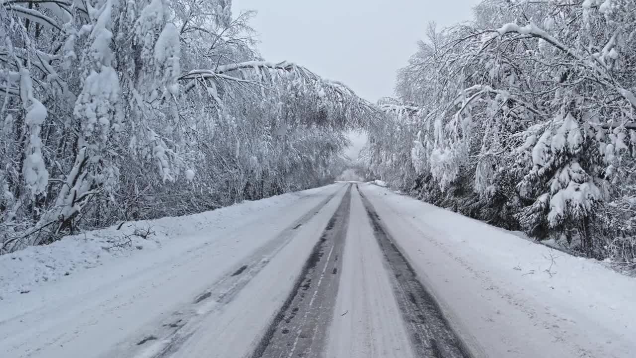 暴风雪后的森林道路。视频素材