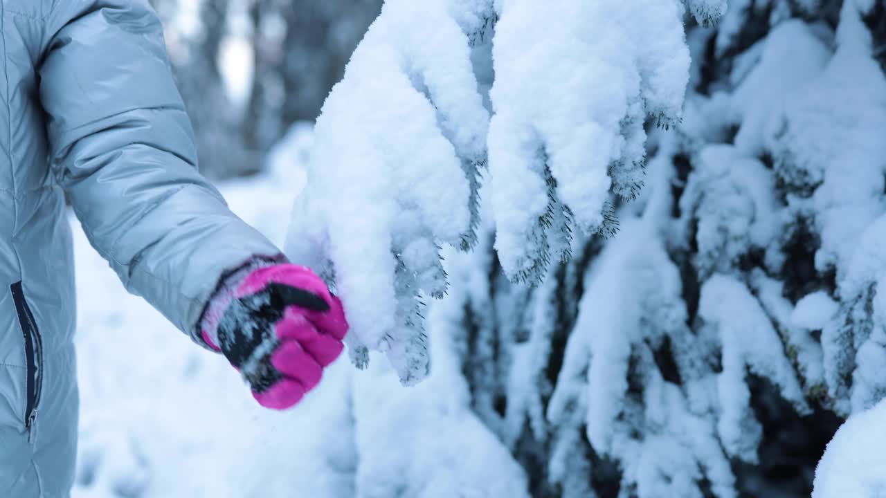 牛头岛下雪后，小女孩摇着松树树枝上的雪视频素材