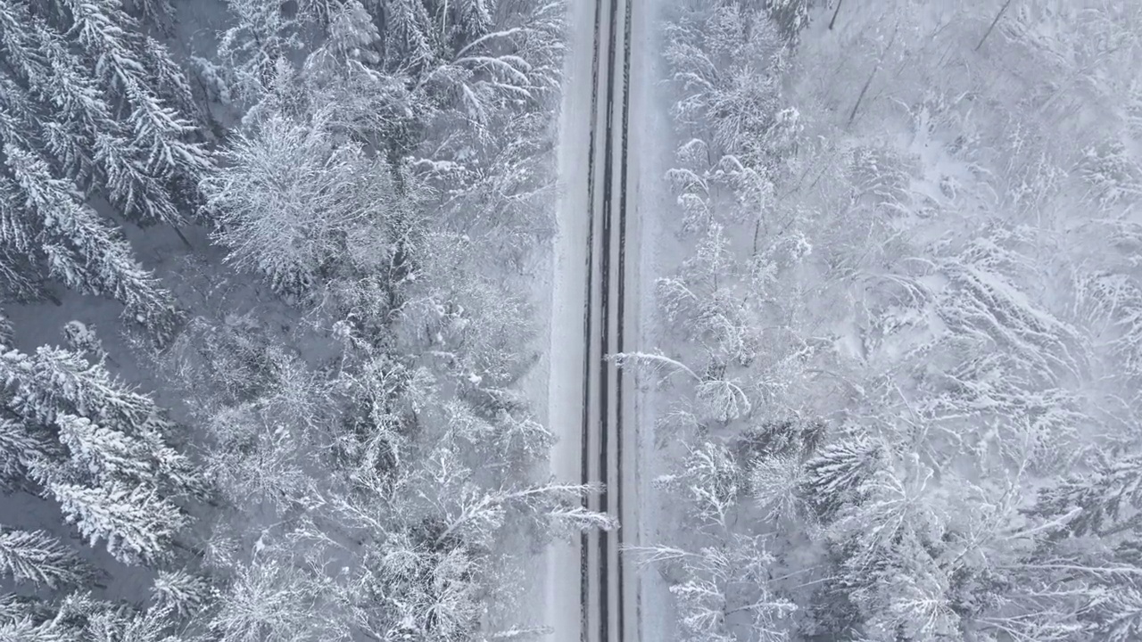 暴风雪后的森林道路。视频下载