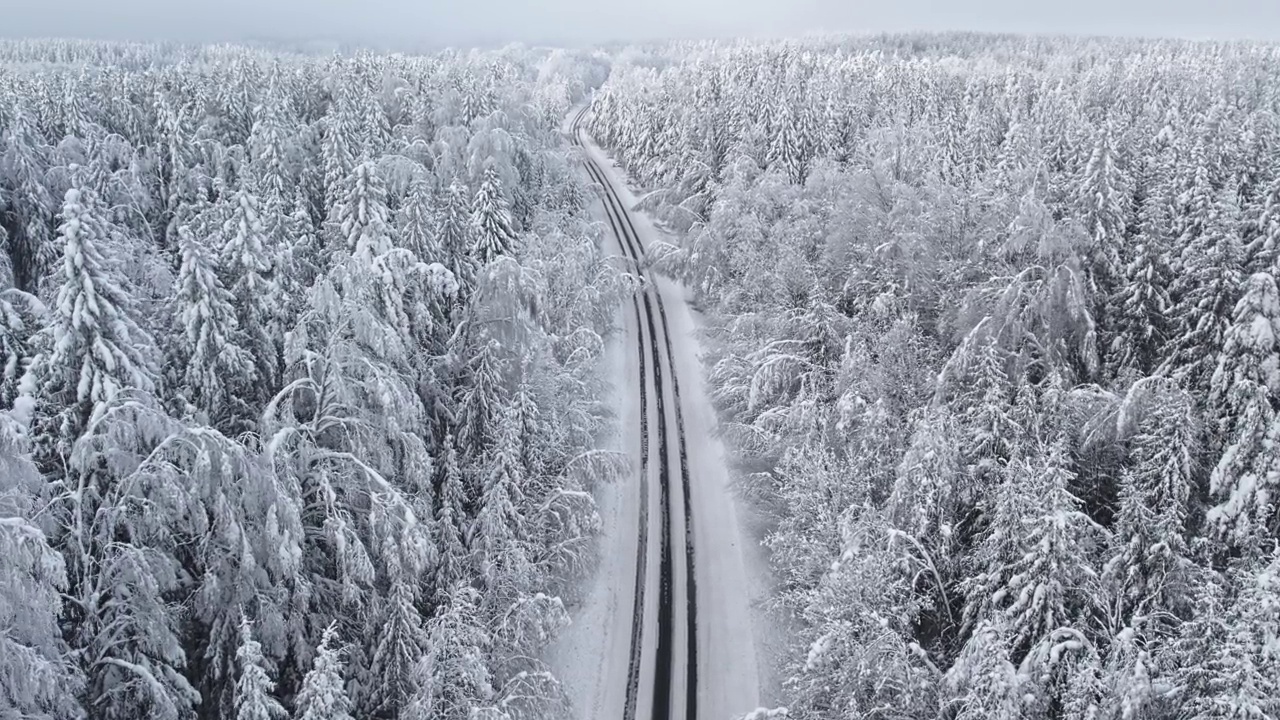 暴风雪后的森林道路。视频素材