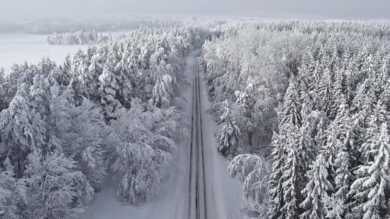 暴风雪后的森林道路。视频下载