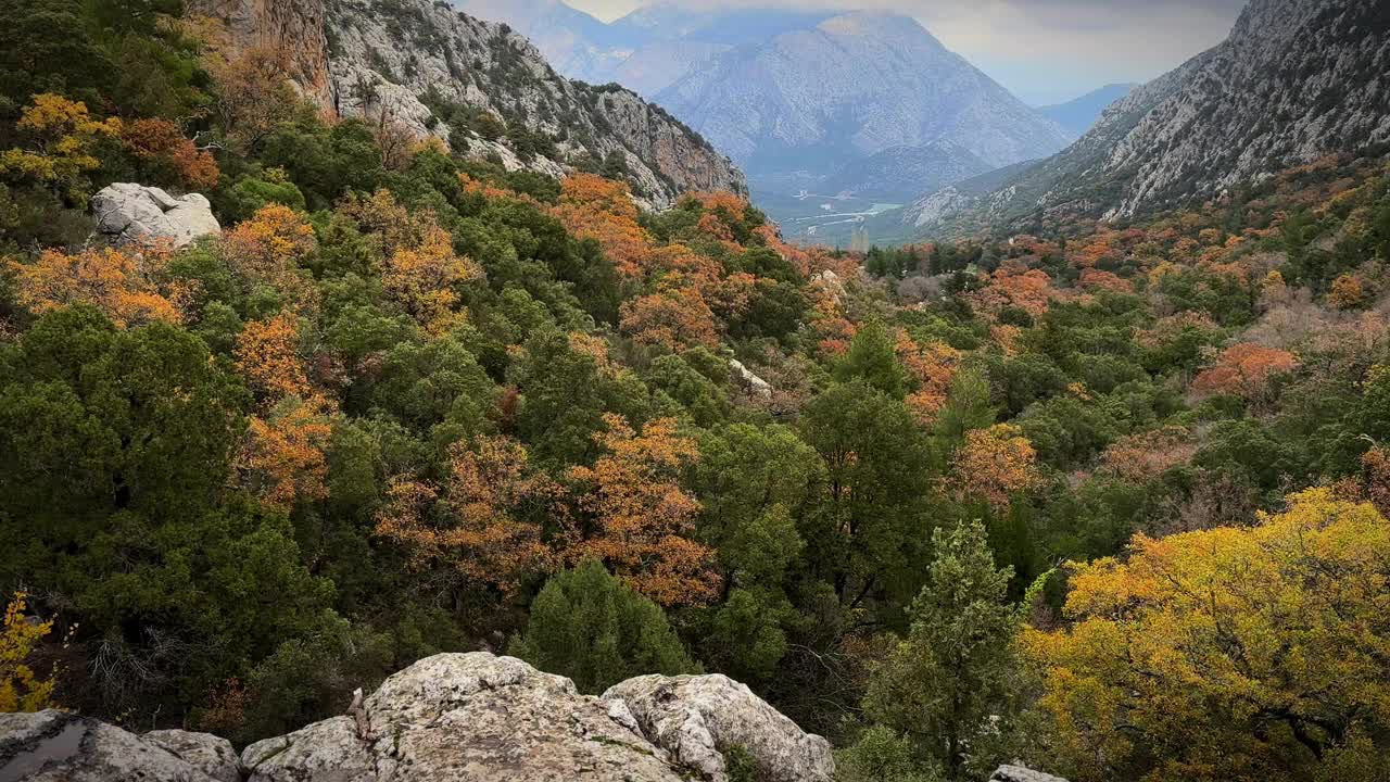 特尔梅索斯山，冬天在森林里视频素材