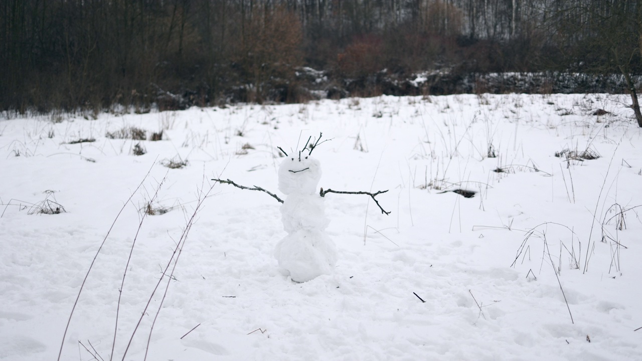 白雪覆盖的森林里的雪人视频素材