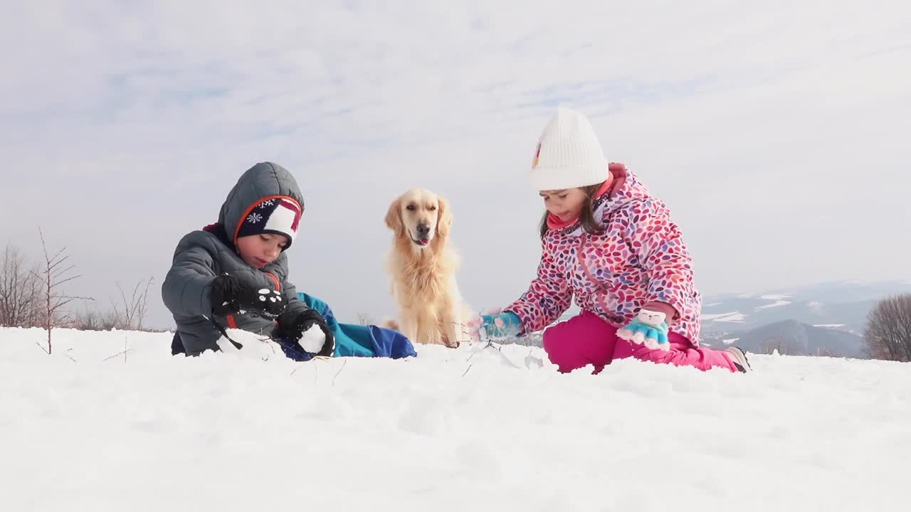 男孩和女孩在雪地里和金毛小狗玩耍视频素材