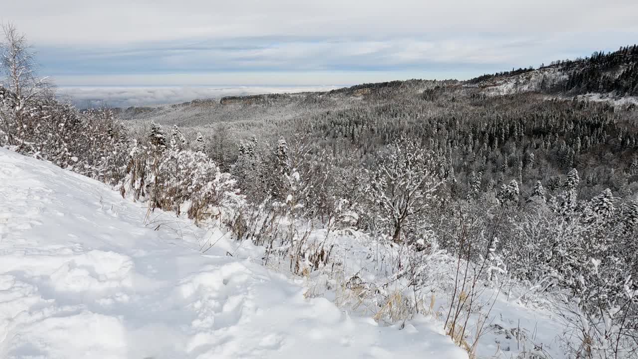 冬季山地景观。森林和山脉被白雪覆盖。视频素材