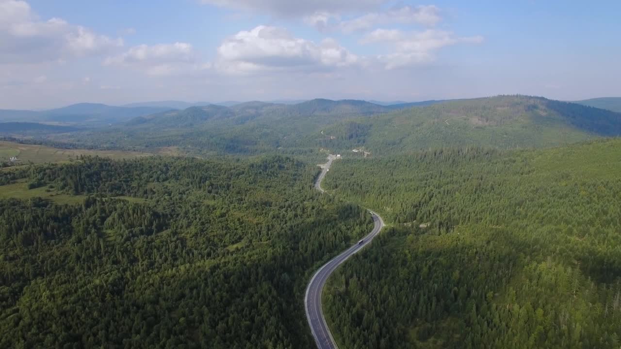 无人机航拍图:在阳光明媚的日子里飞越松树林和乡村道路视频素材