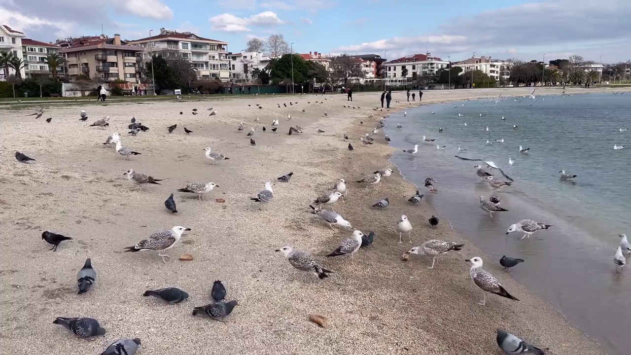 从耶西尔科伊海滩看马尔马拉海景视频素材