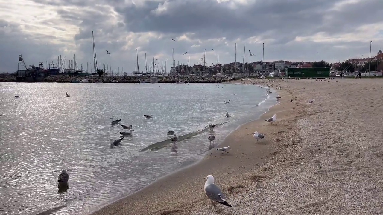 从耶西尔科伊海滩看马尔马拉海景视频素材