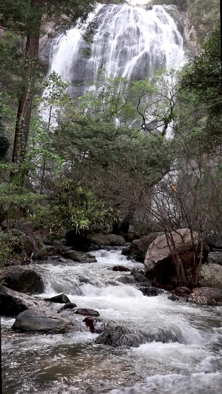 天然森林中的瀑布视频素材