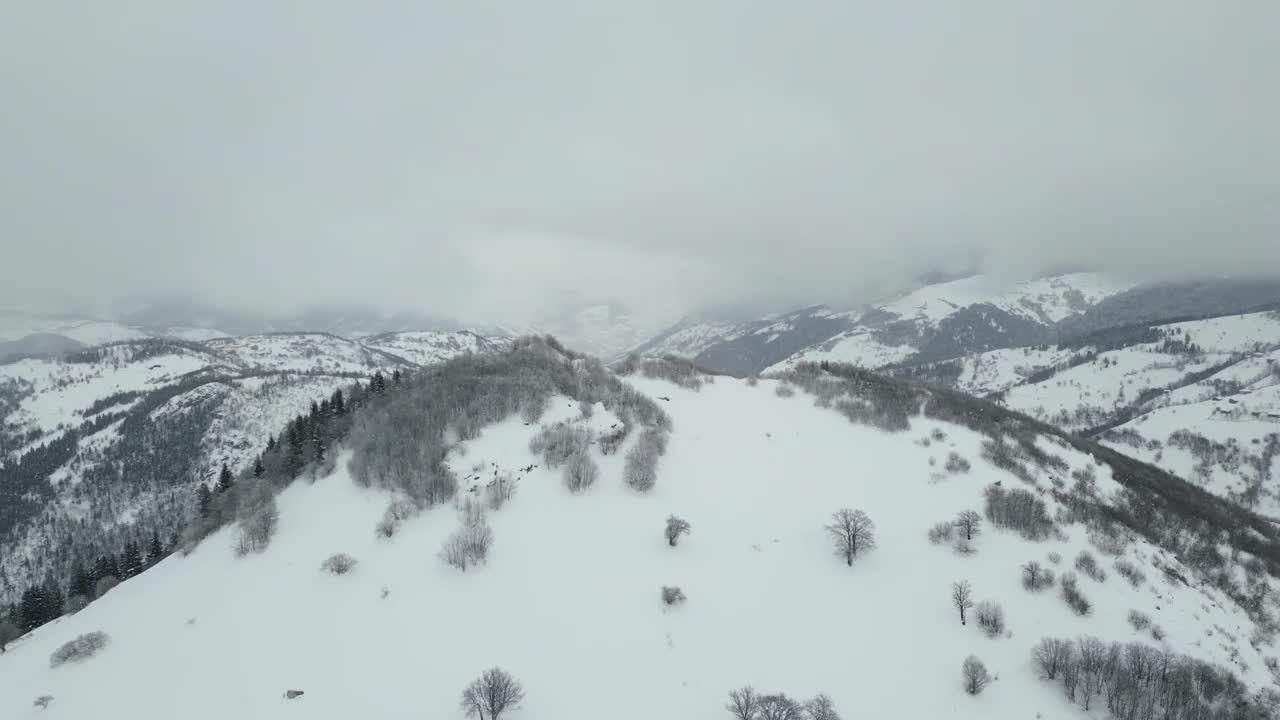 寒山雪林间的小村庄冬季景观。吉雷桑-土耳其视频素材