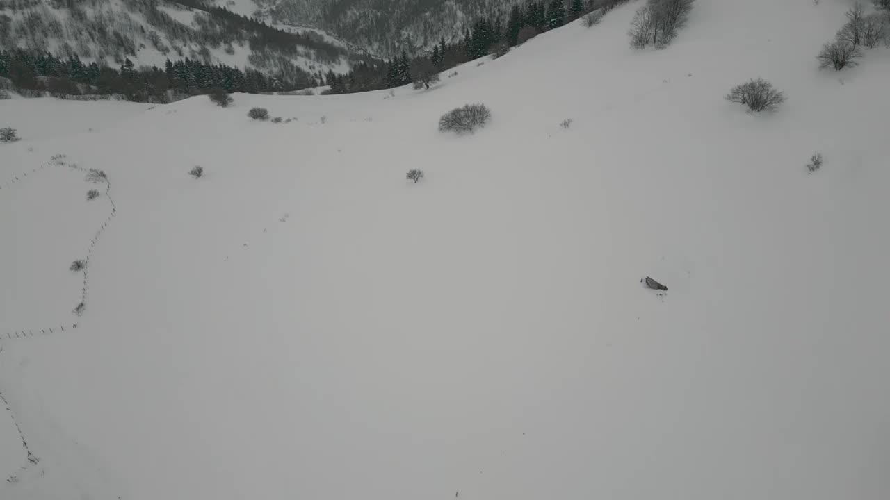 寒山雪林间的小村庄冬季景观。吉雷桑-土耳其视频素材