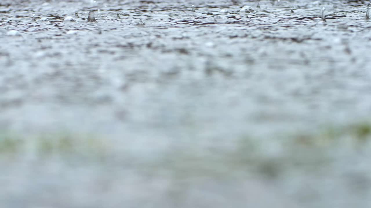 雨水溅到柏油路上，大雨，特写。视频素材