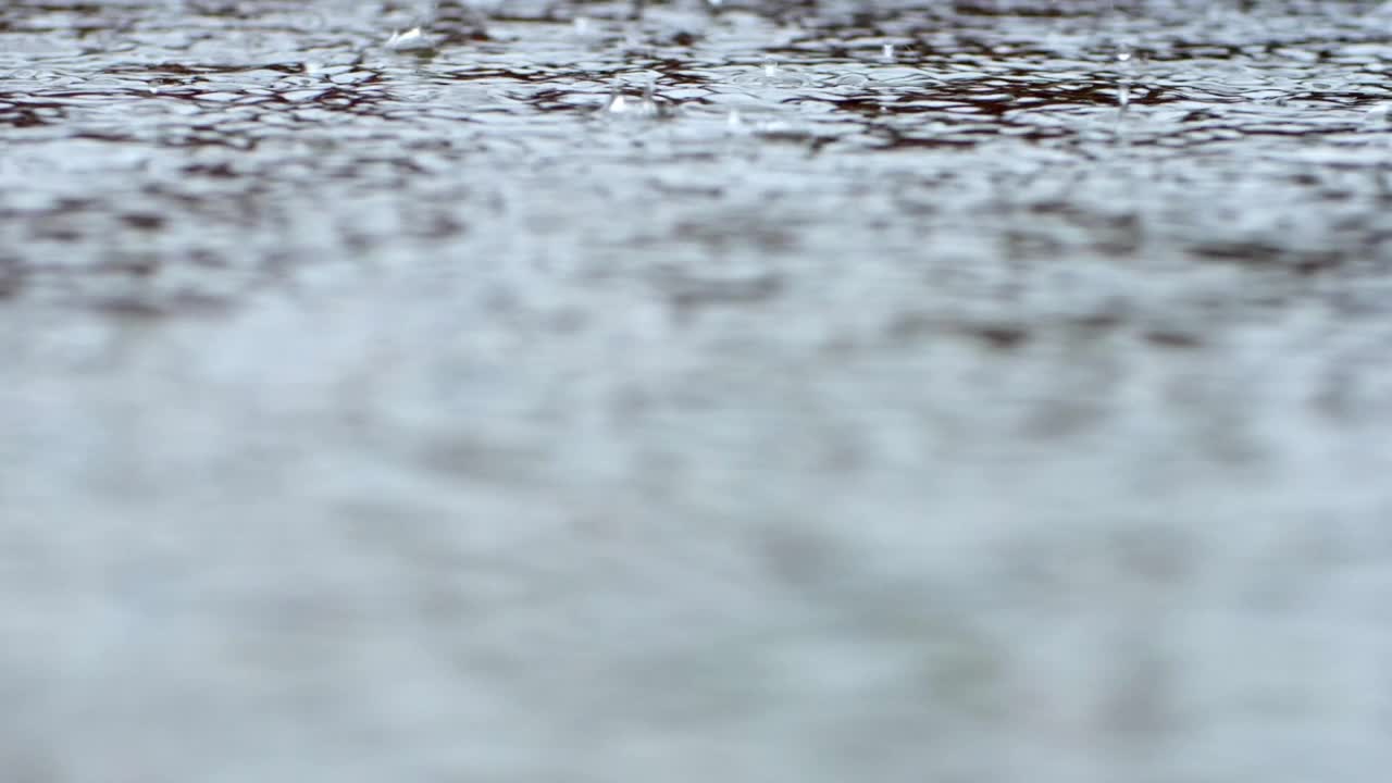 在一场倾盆大雨的慢镜头中，雨滴落入水坑。视频素材