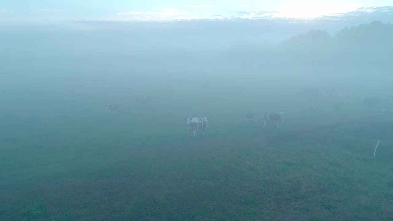 雾蒙蒙的早晨，在森林和田野环绕的美丽湖泊上。一个小村庄，坐落在雾和晨曦中湖附近。视频素材