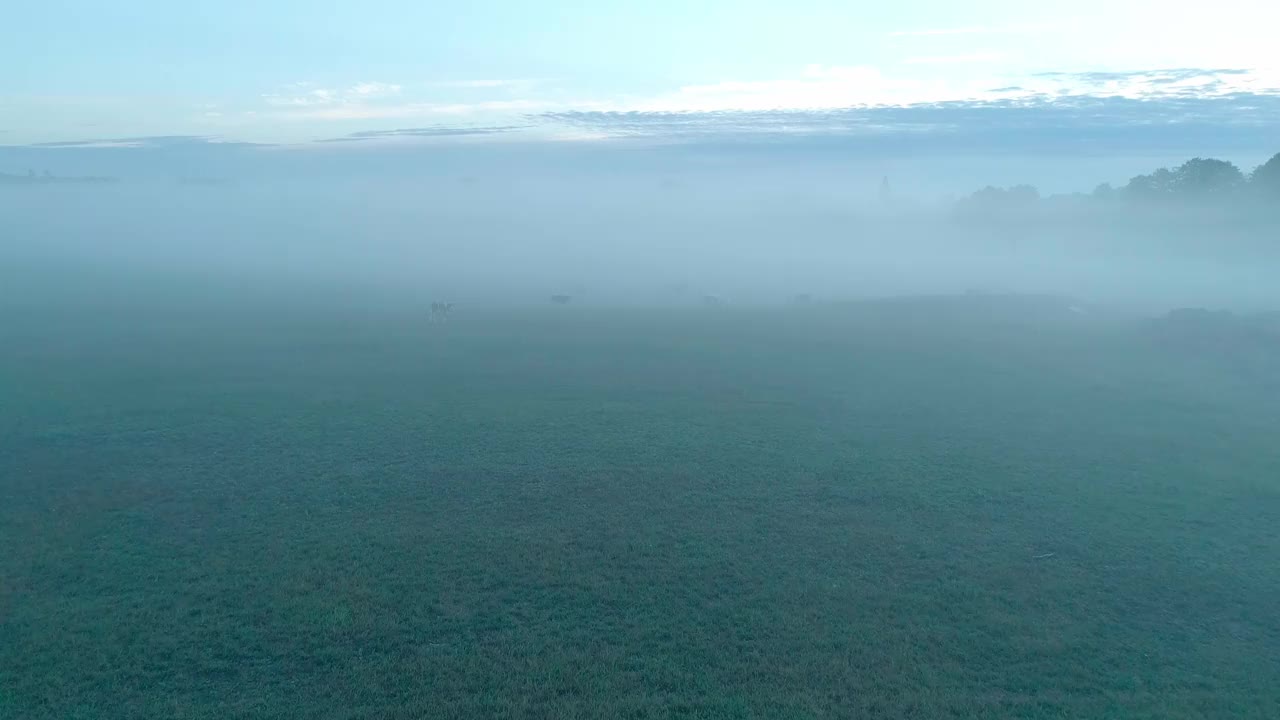 雾蒙蒙的早晨，在森林和田野环绕的美丽湖泊上。一个小村庄，坐落在雾和晨曦中湖附近。视频素材