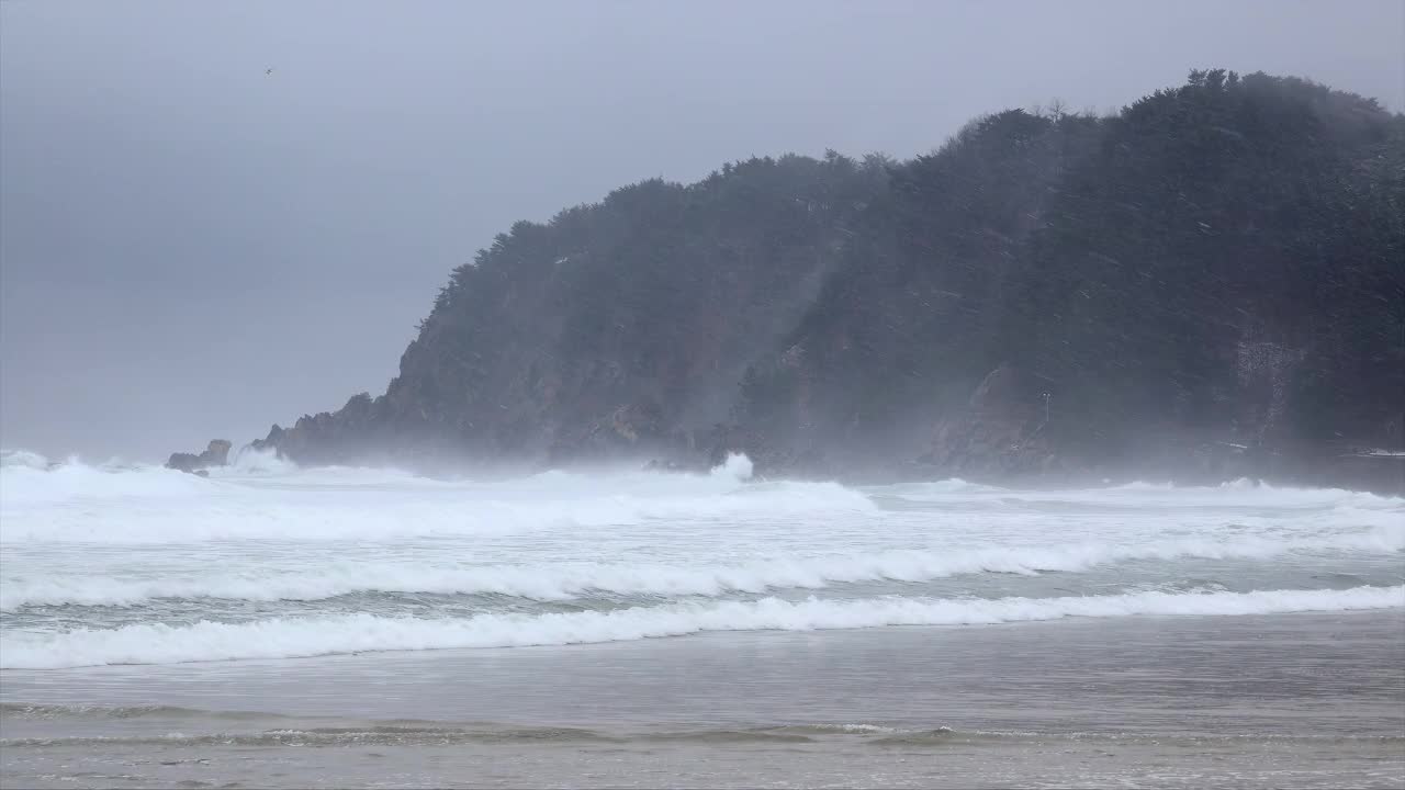 冬季东海附近的海浪和雪景/韩国视频素材