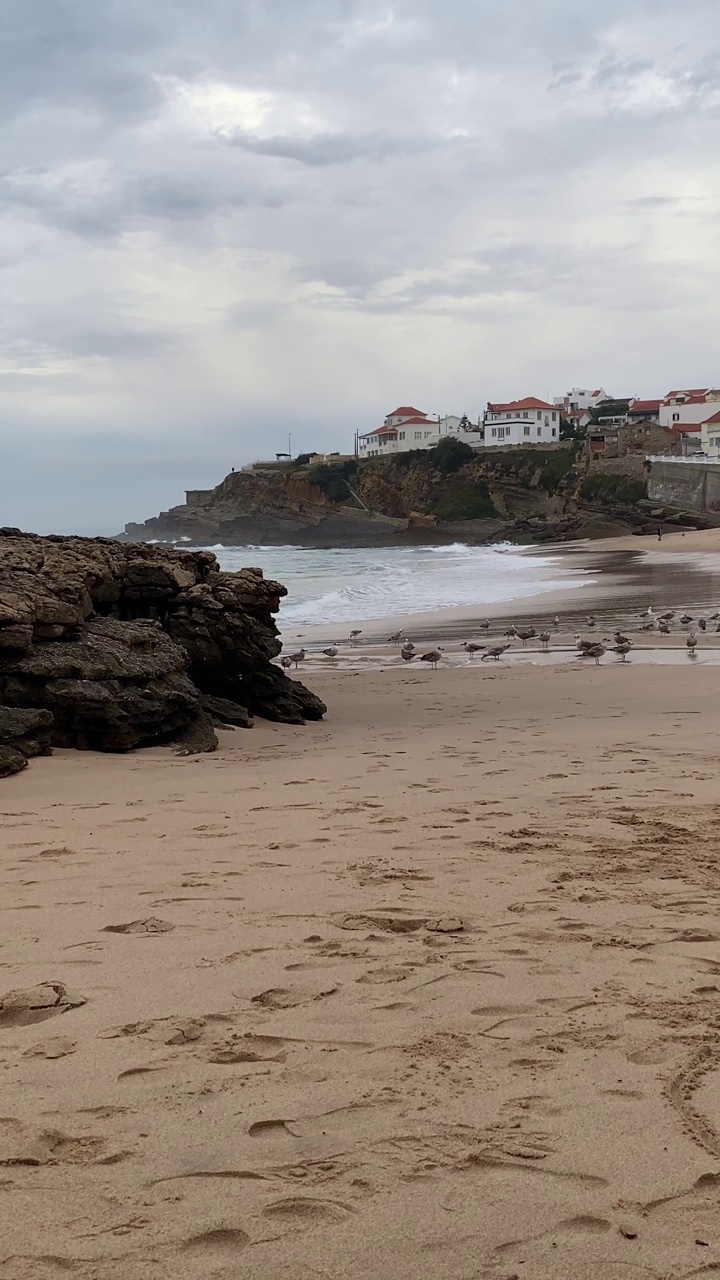 海浪拍打着沙滩，宁静的海景，海鸥视频素材