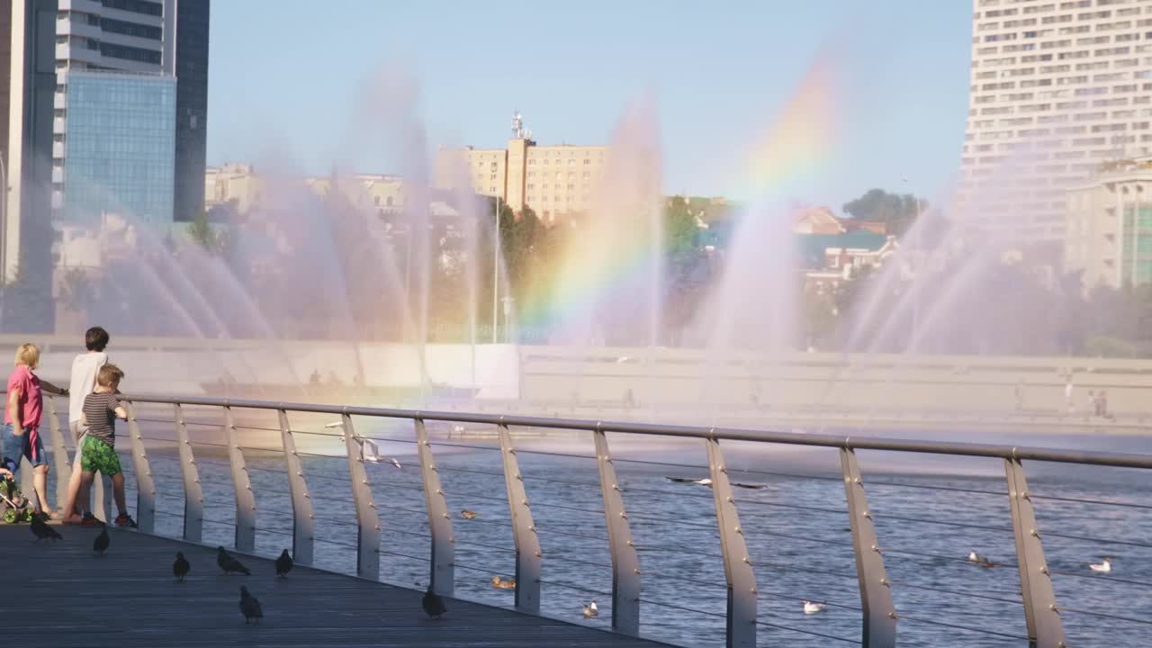 海鸥飞过湖面，高高的喷泉喷射出彩虹视频素材