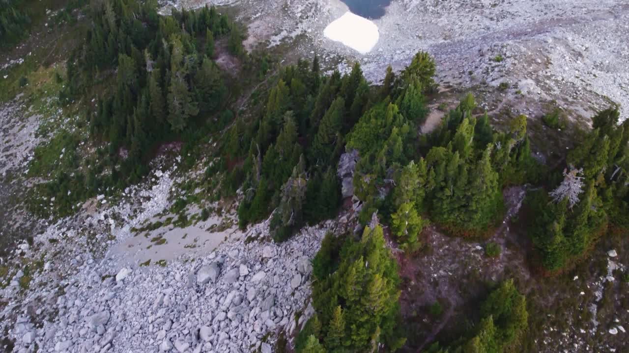 缓慢倾斜的空中无人机拍摄的松树和小湖，背景是加拿大BC 4K Brew山崎岖的山地地形视频素材