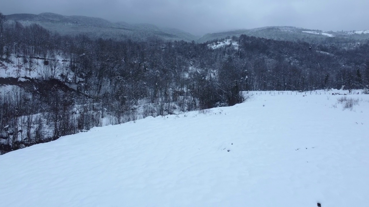 有树木和小径的雪地。山上的房子在冬天。鸟瞰图。视频素材