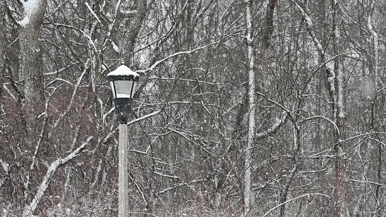 降雪和路灯视频素材