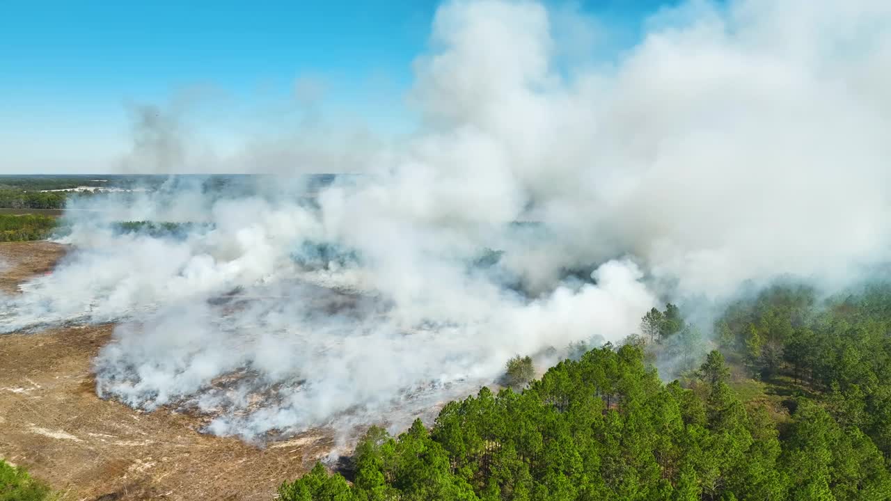 从上方看，浓烟从林地和田野上升起，污染空气。自然灾害的概念视频素材