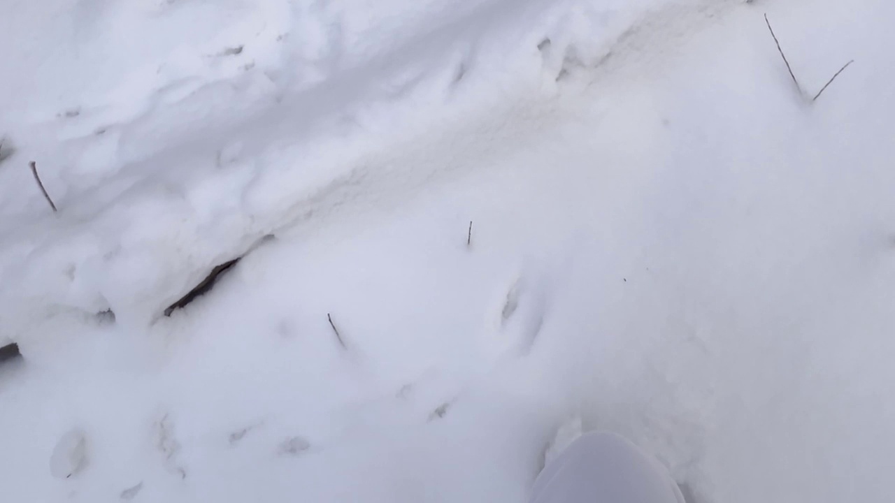 靴子在新雪上留下脚印。冬季在山上或森林里散步或徒步旅行。冬季户外活动视频素材