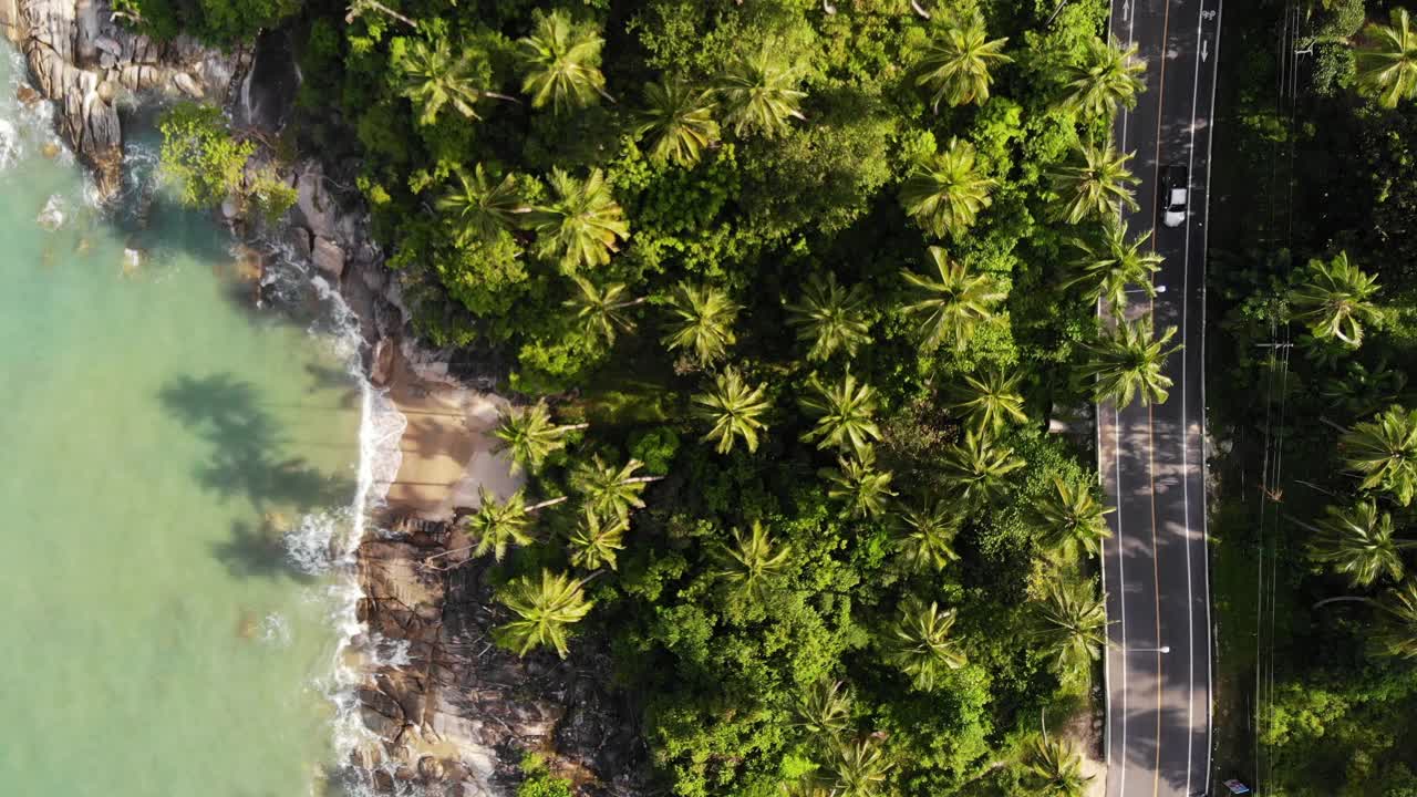 岛屿和道路和棕榈树鸟瞰图视频素材