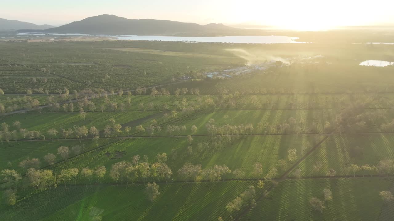 茶山阳光视频素材