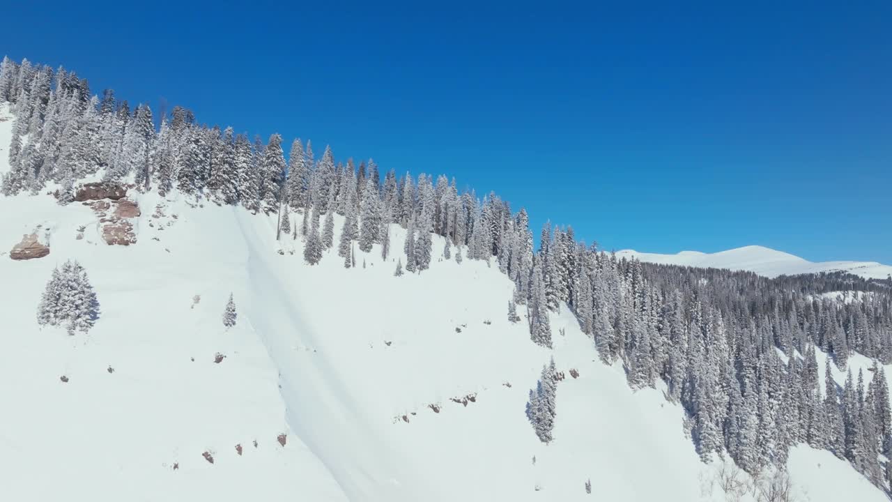 在晴朗的冬日，鸟瞰白雪覆盖的树木森林和美丽的山地景观视频下载